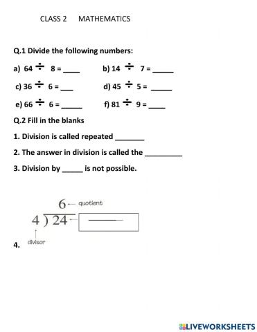 Division revision test