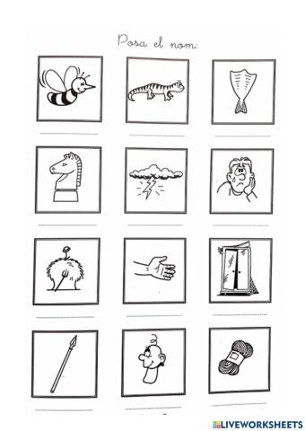 Dígraf LL posa el nom