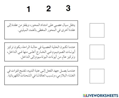 السيال العصبي