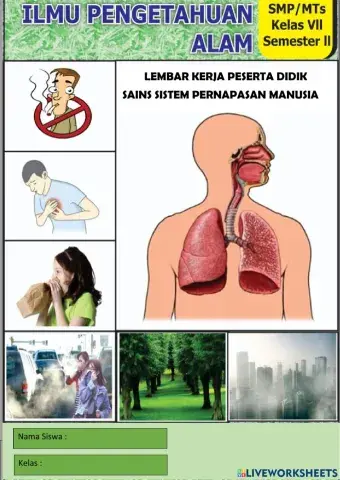 LKPD Sains Sistem Pernapasan