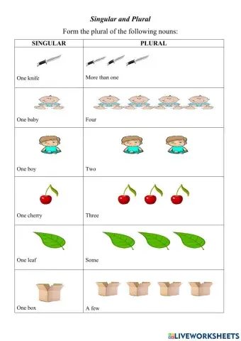 Singular and Plural Nouns