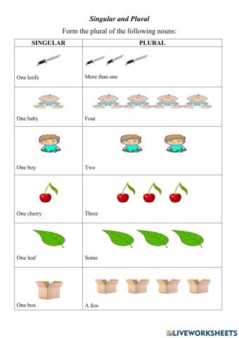 Singular and Plural Nouns