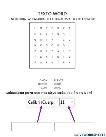 Sopa de letras Fuente