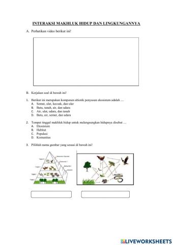 Interaksi Makhluk Hidup dan Lingkungannya