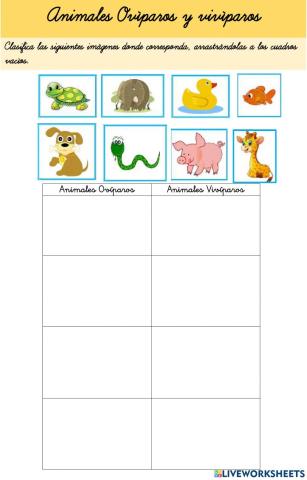 Animales oviparos y viviparos