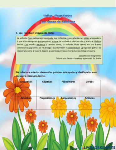 Las clases de palabras