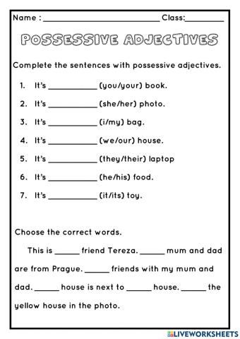 Possessive Adjectives