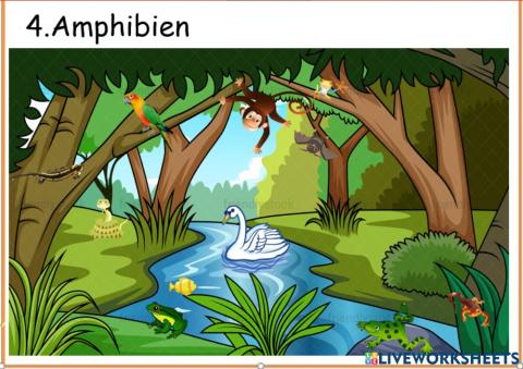 Amphibien