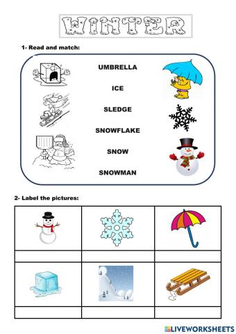 Winter Vocabulary - Weather