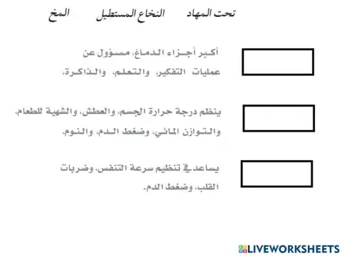 الجهاز العصبي