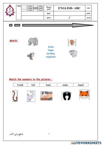 Parts of the body for animals