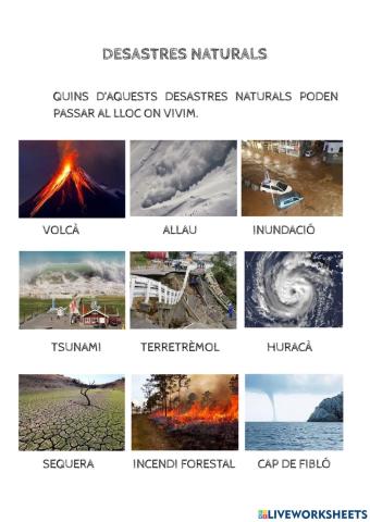 Desastres naturals