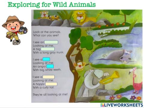 Exploring Wild Animals