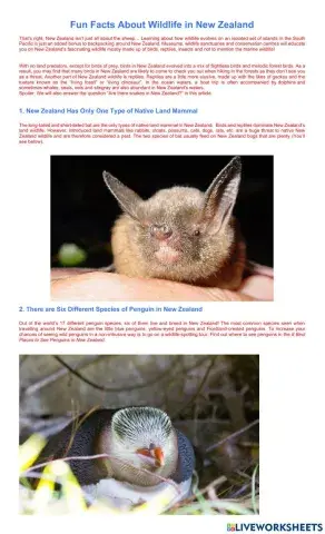 Ten Fun Facts About Wildlife in New Zealand