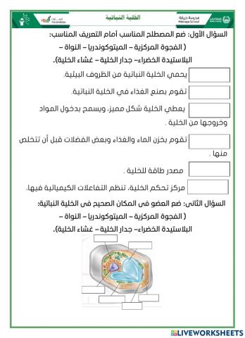 الخلية النباتية