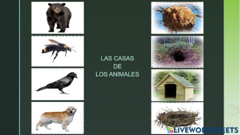 Las casas de los animales