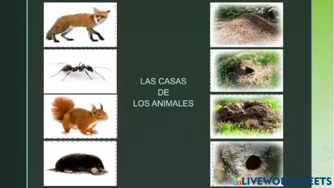 Las casas de los animales 2