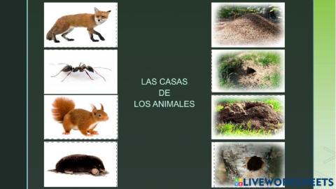 Las casas de los animales 2