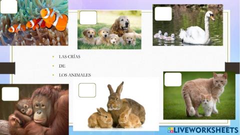 LAS CRÍAS DE LOS ANIMALES