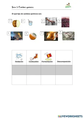 Tipos de cambios químicos