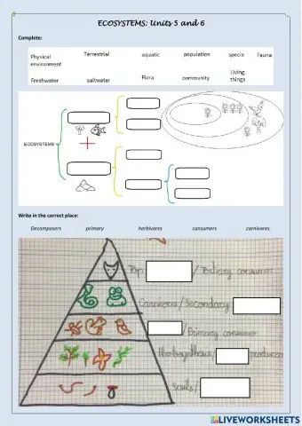 Repaso temas 5 y 6 Natural Science 5º