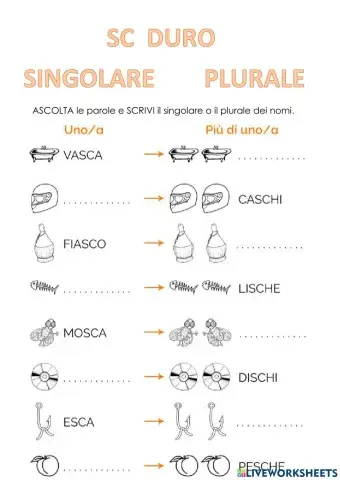 Sc duro singolare o plurale