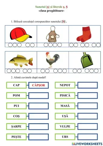 Sunetul ș și literele ș, Ș