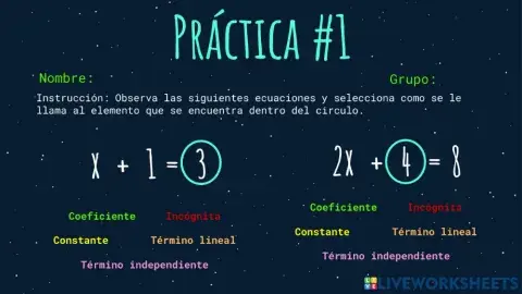 Práctica -1
