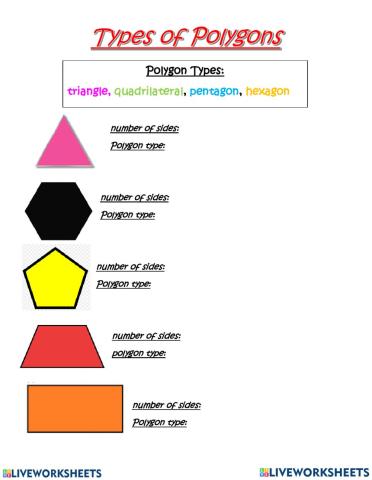 Module 8 lesson 3 polygon quiz