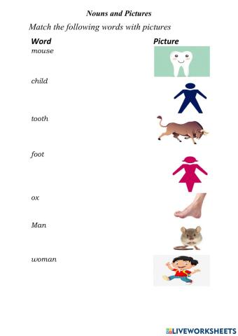 Vocabulary : nouns and Pictures