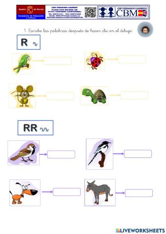 Discriminación Auditiva (R)