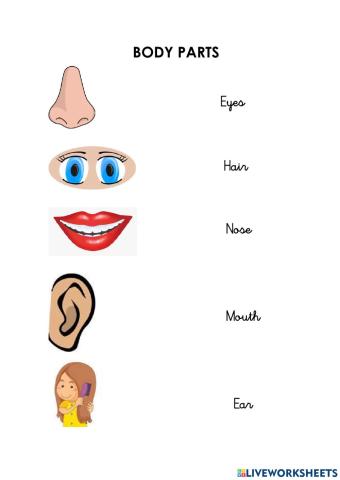 Face parts