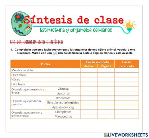 Síntesis de clase