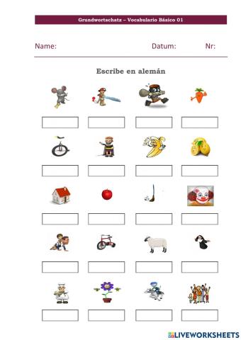 Grundwortschatz - Vocabulario Basico 01