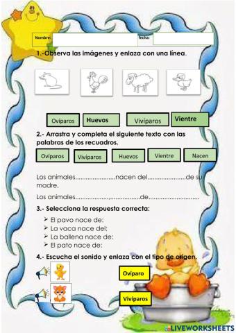 Animales según su origen.