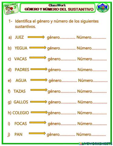 Género y número del sustantivo