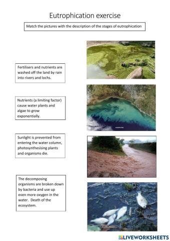 Eutrophication