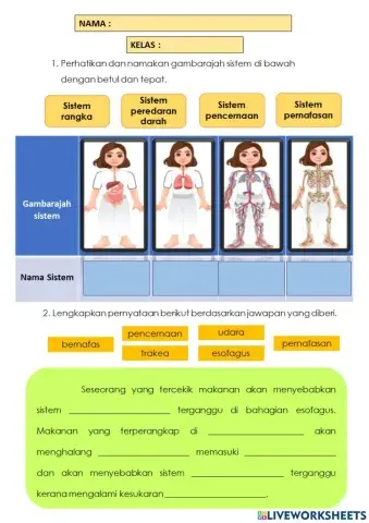 Perkaitan Antara Sistem Dalam Tubuh Manusia