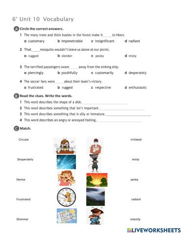 Vocabulary Unit 10 6°