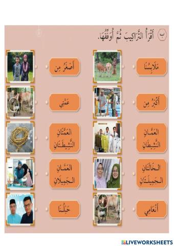 (عيد الأضحى المبارك (التراكيب