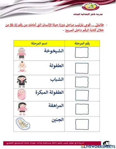 ورقة عمل مراحل نمو الإنسان -الصف5