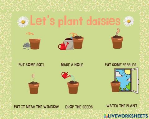 Fun with science(how to plant )