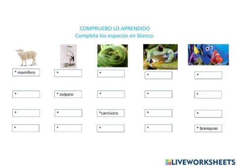 Evaluación Vertebrados