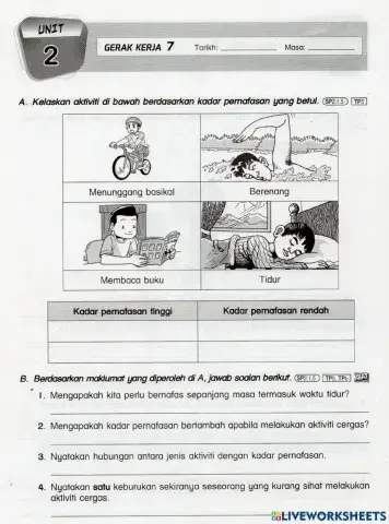 Pernafasan Manusia : Kadar Pernafasan Manusia