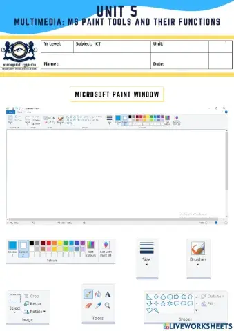 Multimedia: MS Paint Tools and their Finctions