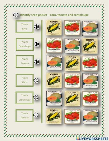 Identify seed packet  - tomato, corn, cantaloupe - 1.04 - LN