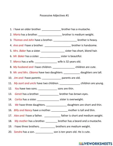 Possessive Adjectives