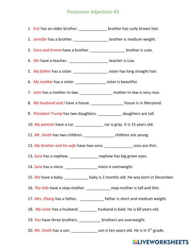 Possessive Adjectives