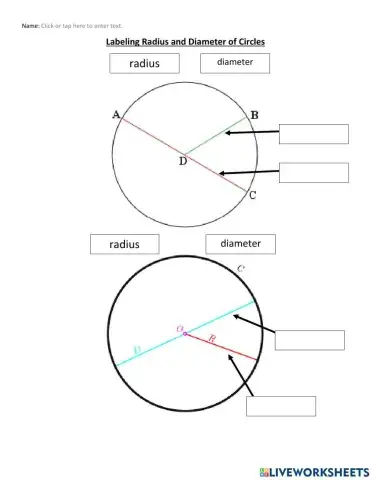 Labeling the Radius and Diameter of Circles