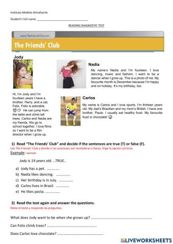 Reading Comprehension Diagnostic Activity